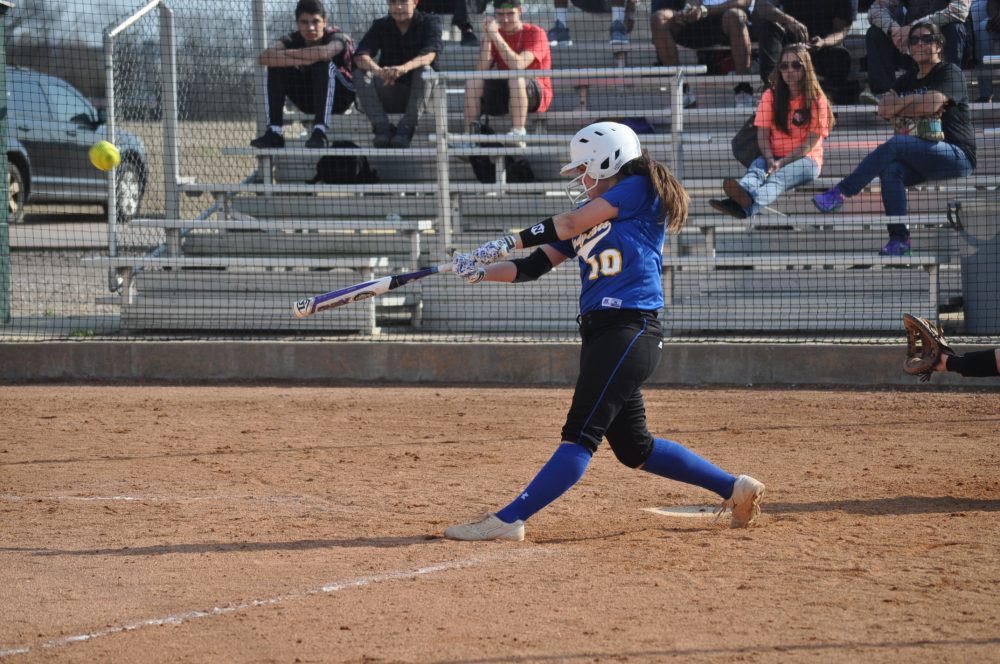 ladycat softball 16