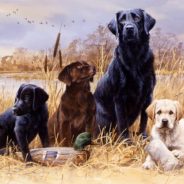 Ducks Unlimited Dinner Thursday