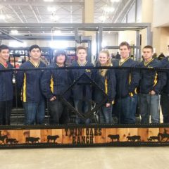 Fort Worth Stock Show A Success for Como-Pickton FFA