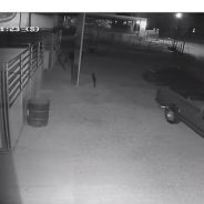 “Updated” Public Help Sought in Civic Center Theft