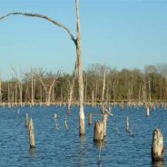 Water Quality Training: The Importance of Water