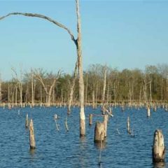 Water Quality Training: The Importance of Water