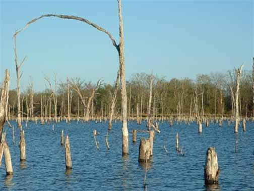 Lake Fork