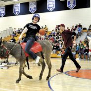 Bluff Bears Plan Donkey Basketball