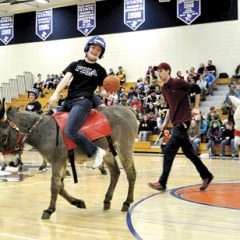 Bluff Bears Plan Donkey Basketball