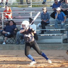 Lady Cats Shut Out Greenville Friday
