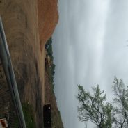 City Spring Clean Up Week is April 4-9