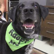 Hearts of Life Presents Thumper