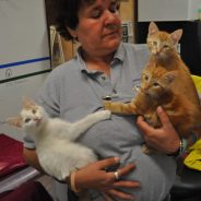 Animals of the Week: Huey, Dewey and Louie