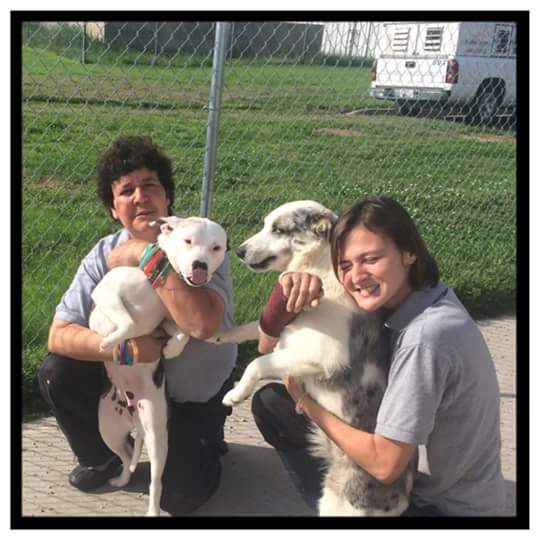 Lavern(left) and Shirley(right)