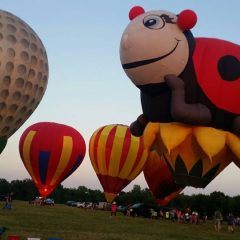 Dairy Fest Board “Udderances”; Fest Activities June 11-18