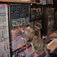 KSST Has Outgrown Our Server!