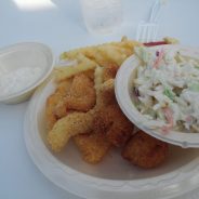 Holy Highway Girls Home Fish Fry May 13, 2017