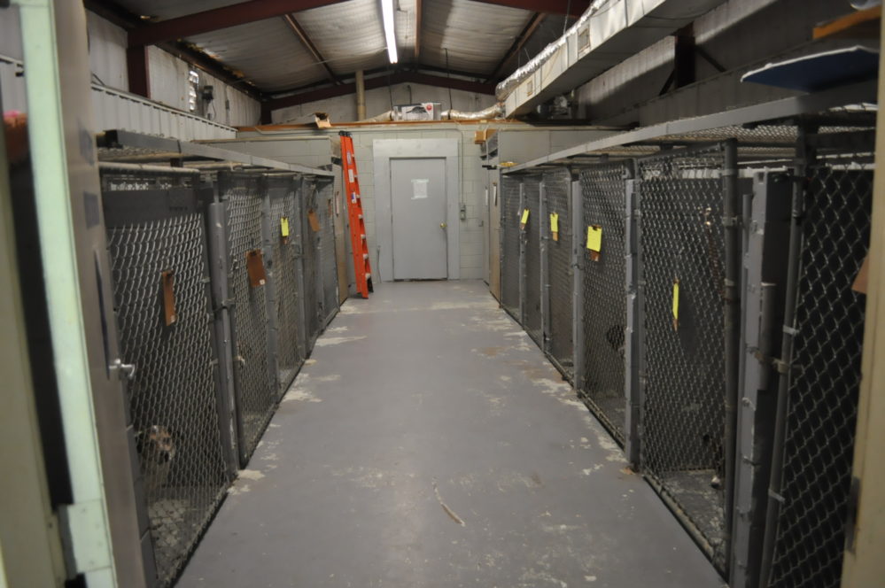 Current Animal Shelter Facilities