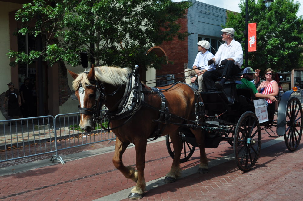 Parade Marshall Mark Sustaire