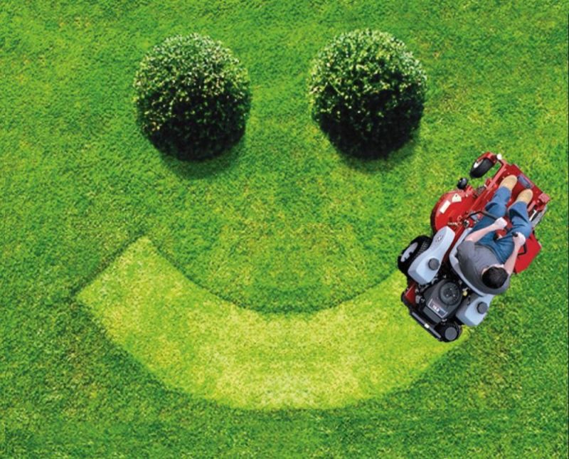 Happy Lawn