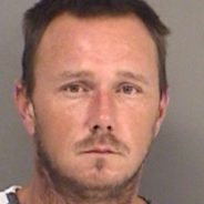 Registered Sex Offender, Felon, Found with Firearms