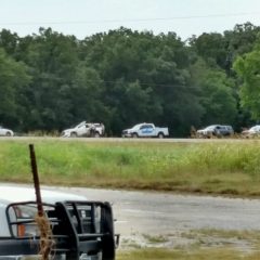 Distraught Driver Finally Stopped Following Hit and Run