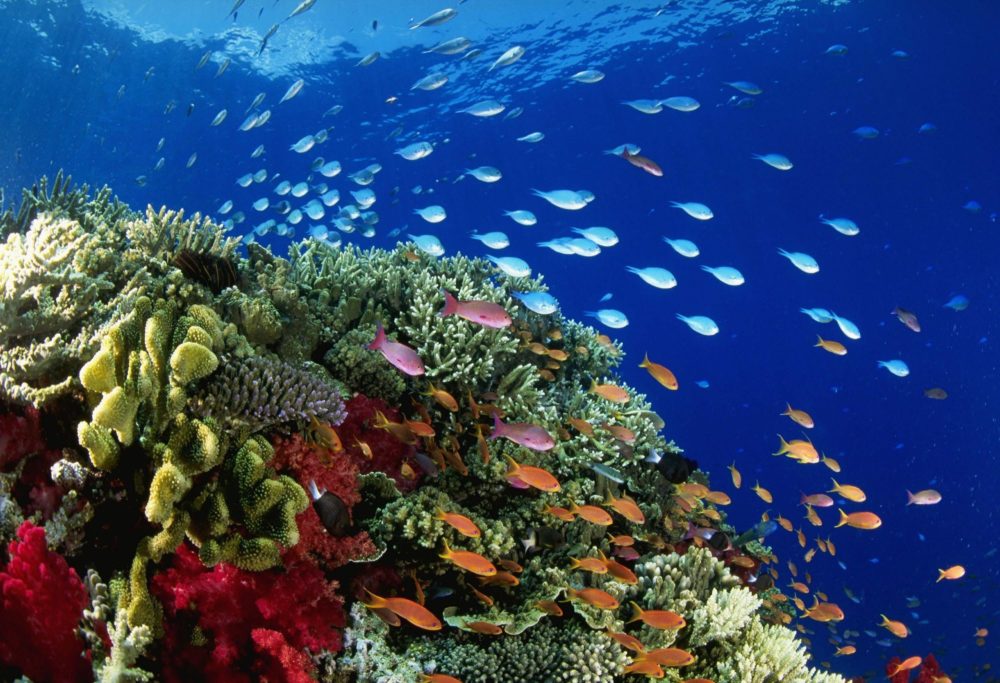 Great Barrier Reef