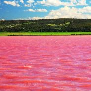 Lake Hillier The Pink Lake!