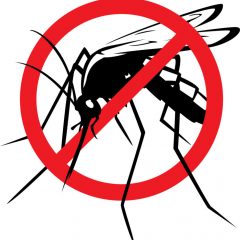 How To Avoid Mosquito Bites!