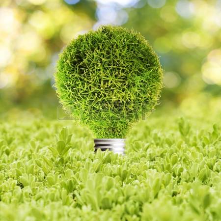 renewable energy