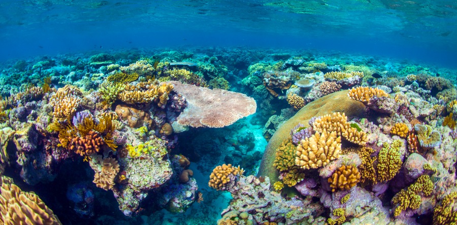 Great Barrier Reef