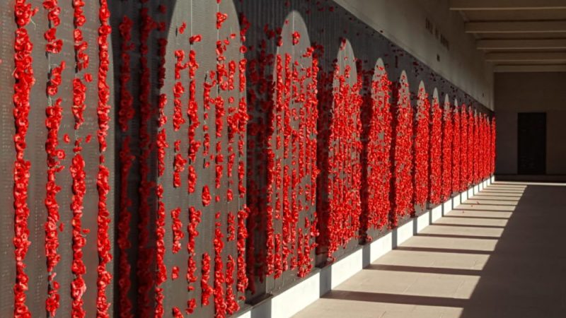 Anzac Memorial-remembrance poppies