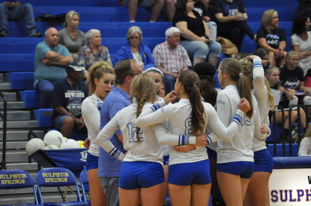 Lady Cat Volleyball 2016