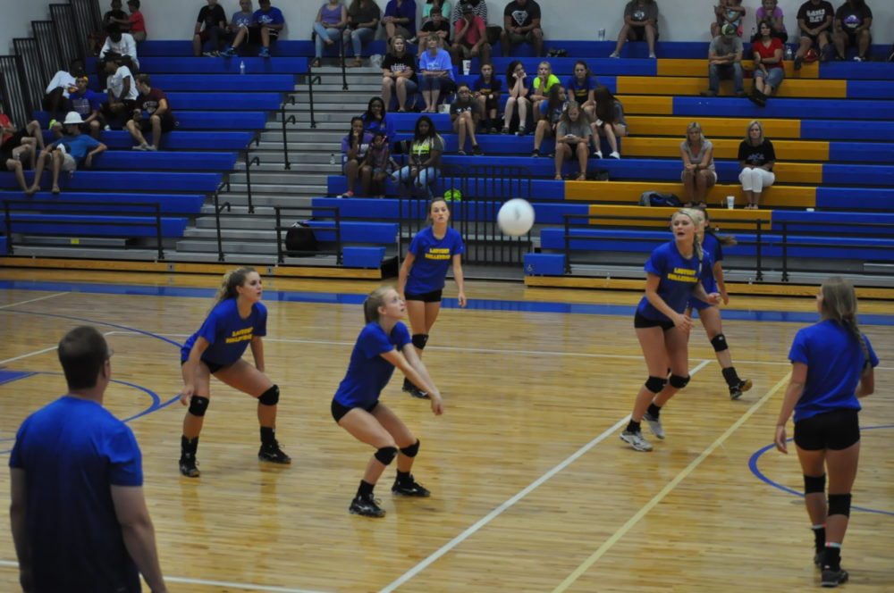 Ladycat volleyball 2016