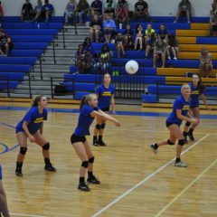 Lady Cats’ Volleyball Open Tourney With Three Wins