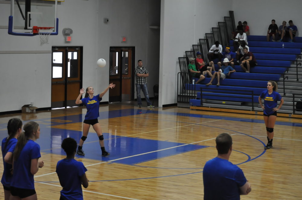 Ladycat volleyball 2016