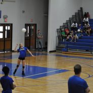 Lady Cats Defeat Mt Vernon; Ready for Tyler Tourney