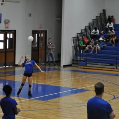 Lady Cats Defeat Mt Vernon; Ready for Tyler Tourney