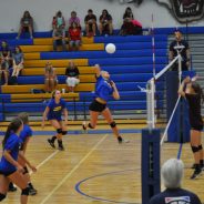 Game Day: Lady Cats Host Paris