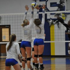 Lady Cats’ Volleyball Opens in Scrimmage Action Friday