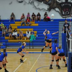 Lady Cat Volleyball Taking Speedier Approach to the Game