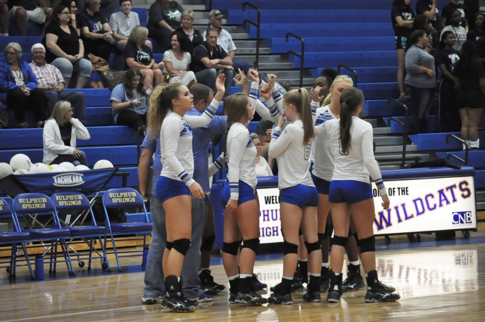 Lady Cat Volleyball 2016