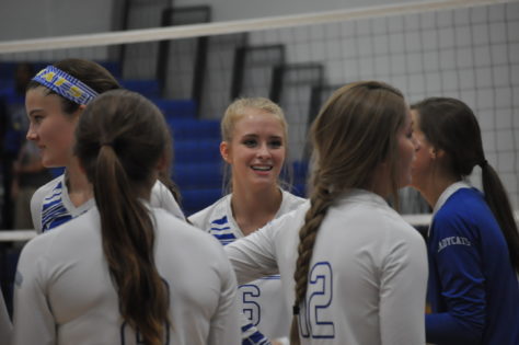Lady Cat Volleyball 2016