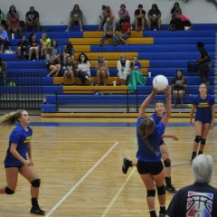 Lady Cats’ Volleyball Defeats Kilgore, John Tyler