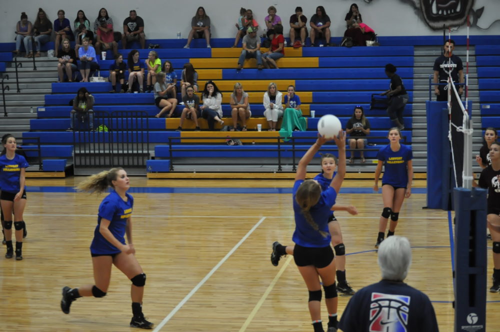 Ladycat volleyball 2016