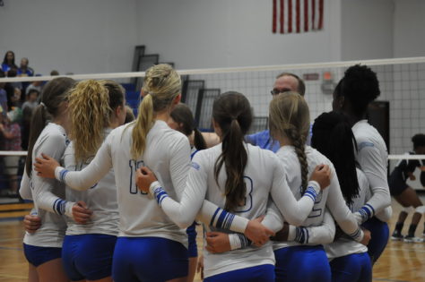 Lady Cat Volleyball 2016