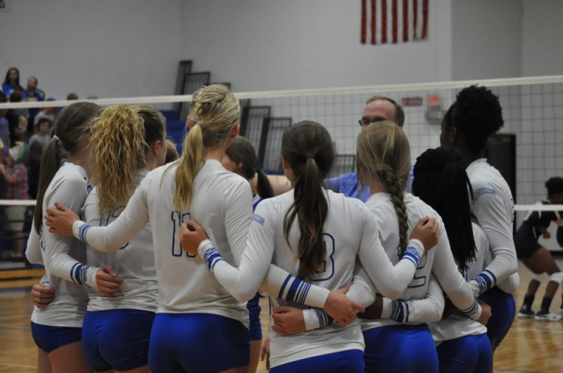 Lady Cat Volleyball 2016