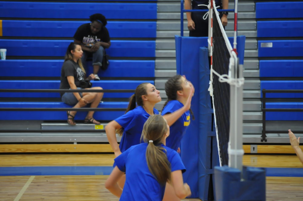 Ladycat volleyball 2016