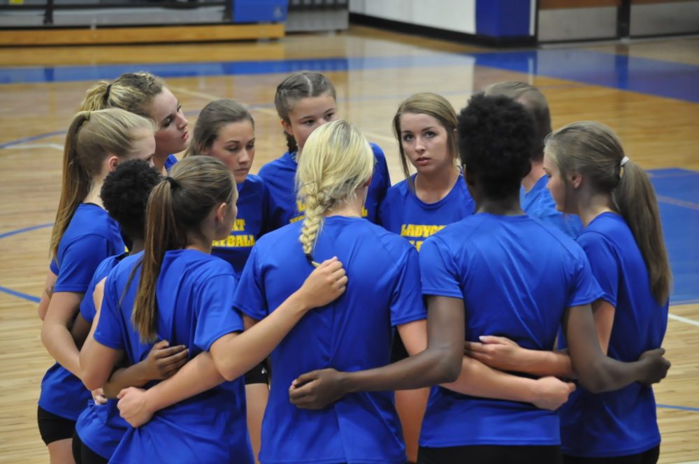 Ladycat volleyball 2016