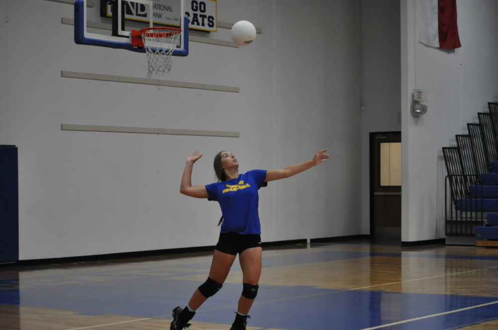 Tori Moore Volleyball 2016