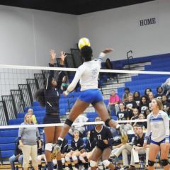 Lady Cats Volleyball 3, Marshall 0