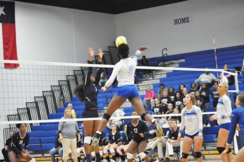 Lady Cat Volleyball 2016