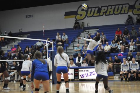 Lady Cat Volleyball 2016