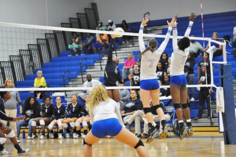 Lady Cat Volleyball 2016
